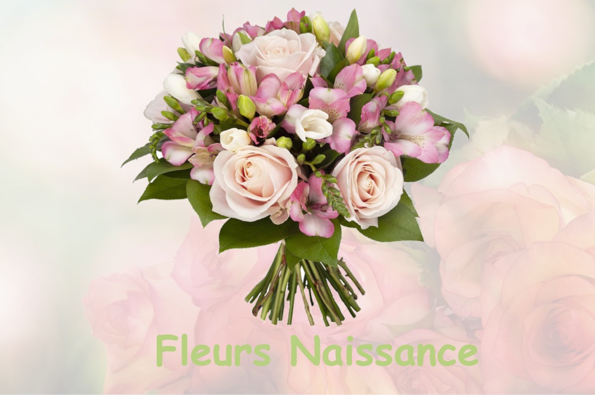 fleurs naissance EPERSY